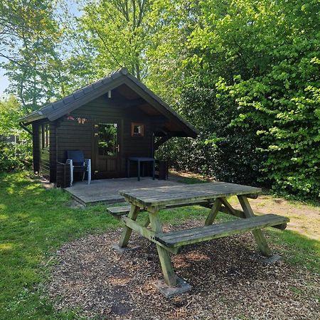 Blokhut Camping Alkenhaer Appelscha Bagian luar foto